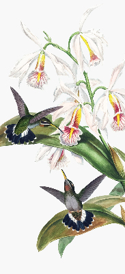 Verdunkelungsrollo mit Motiv von Vögeln auf einer Blume