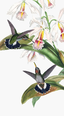 Verdunkelungsrollo mit Motiv von Vögeln auf einer Blume