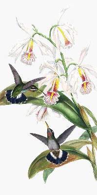 Verdunkelungsrollo mit Motiv von Vögeln auf einer Blume