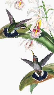 Verdunkelungsrollo mit Motiv von Vögeln auf einer Blume