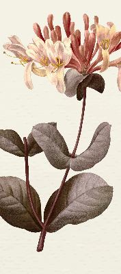 Rollo lichtundurchlässig mit Motiv einer herabfallenden Blume