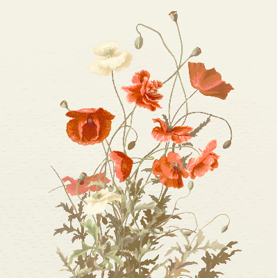 Verdunkelungsrollo mit Mohnblumenmuster