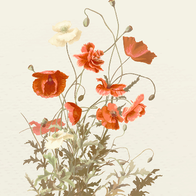 Verdunkelungsrollo mit Mohnblumenmuster