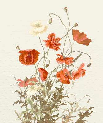 Verdunkelungsrollo mit Mohnblumenmuster