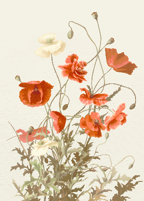 Verdunkelungsrollo mit Mohnblumenmuster