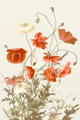Verdunkelungsrollo mit Mohnblumenmuster