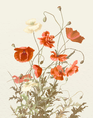 Verdunkelungsrollo mit Mohnblumenmuster