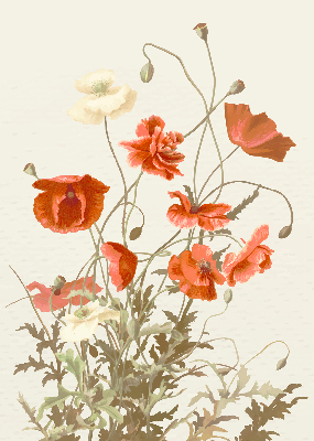 Verdunkelungsrollo mit Mohnblumenmuster