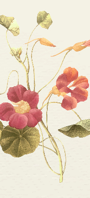 Fenster Rollo mit Blumenmuster