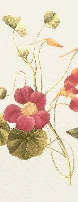 Fenster Rollo mit Blumenmuster