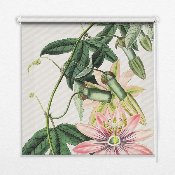Verdunkelungsrollo in Rosa mit Blumenmuster