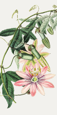 Verdunkelungsrollo in Rosa mit Blumenmuster