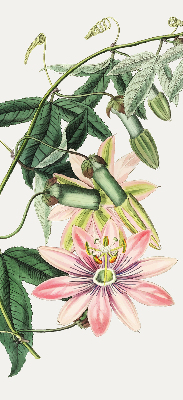 Verdunkelungsrollo in Rosa mit Blumenmuster