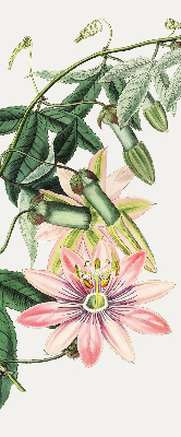 Verdunkelungsrollo in Rosa mit Blumenmuster