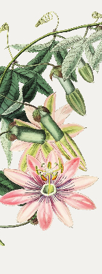 Verdunkelungsrollo in Rosa mit Blumenmuster