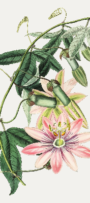 Verdunkelungsrollo in Rosa mit Blumenmuster