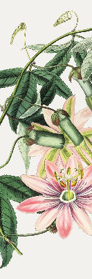 Verdunkelungsrollo in Rosa mit Blumenmuster