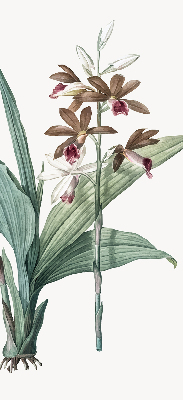 Rollo lichtundurchlässig mit Blumenmuster