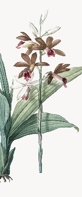 Rollo lichtundurchlässig mit Blumenmuster