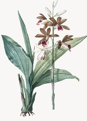 Rollo lichtundurchlässig mit Blumenmuster