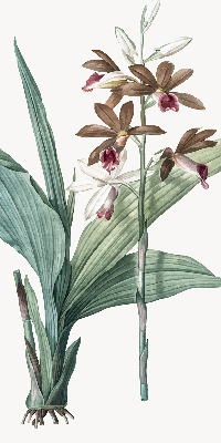 Rollo lichtundurchlässig mit Blumenmuster