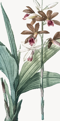 Rollo lichtundurchlässig mit Blumenmuster