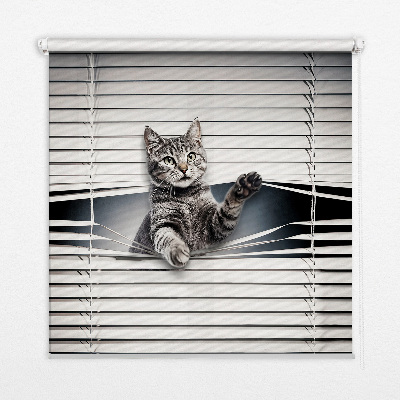 Fenster Rollo mit Katzenmotiv
