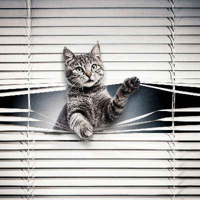 Fenster Rollo mit Katzenmotiv