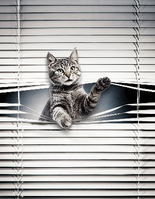 Fenster Rollo mit Katzenmotiv
