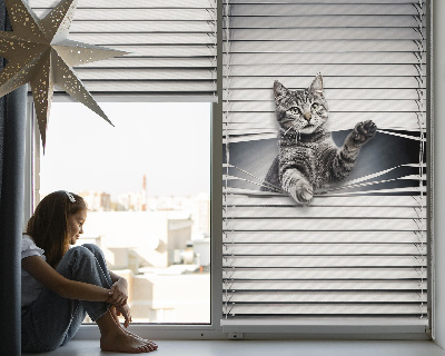 Fenster Rollo mit Katzenmotiv