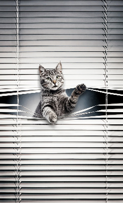 Fenster Rollo mit Katzenmotiv