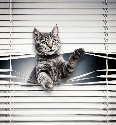 Fenster Rollo mit Katzenmotiv