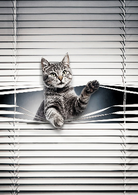 Fenster Rollo mit Katzenmotiv