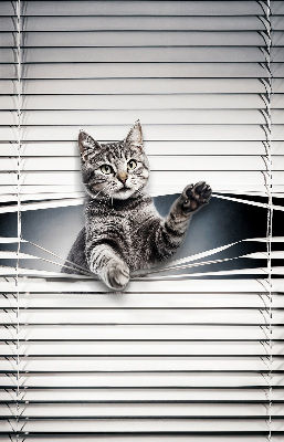 Fenster Rollo mit Katzenmotiv