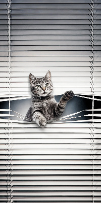Fenster Rollo mit Katzenmotiv