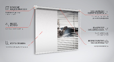 Fenster Rollo mit Katzenmotiv