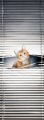 Rollo lichtundurchlässig mit Motiv einer Ingwerkatze