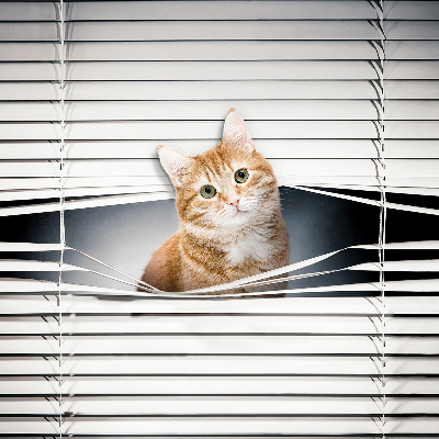 Rollo lichtundurchlässig mit Motiv einer Ingwerkatze