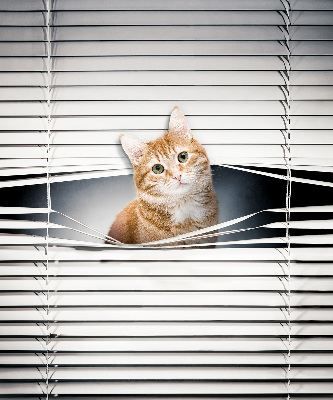 Rollo lichtundurchlässig mit Motiv einer Ingwerkatze