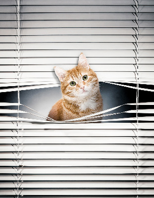 Rollo lichtundurchlässig mit Motiv einer Ingwerkatze