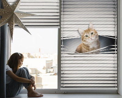Rollo lichtundurchlässig mit Motiv einer Ingwerkatze