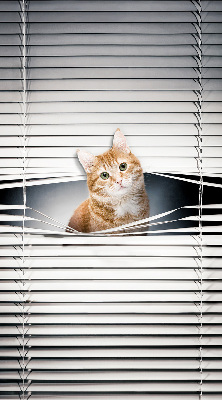 Rollo lichtundurchlässig mit Motiv einer Ingwerkatze