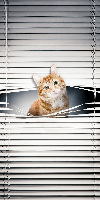 Rollo lichtundurchlässig mit Motiv einer Ingwerkatze