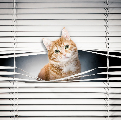 Rollo lichtundurchlässig mit Motiv einer Ingwerkatze
