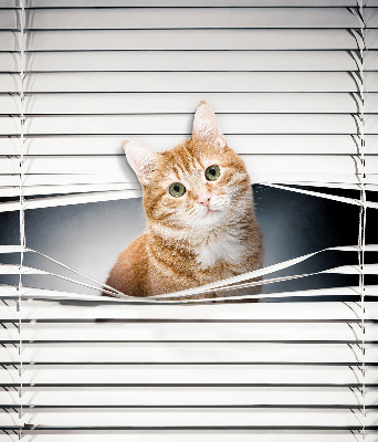 Rollo lichtundurchlässig mit Motiv einer Ingwerkatze