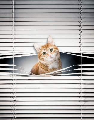 Rollo lichtundurchlässig mit Motiv einer Ingwerkatze