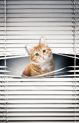 Rollo lichtundurchlässig mit Motiv einer Ingwerkatze