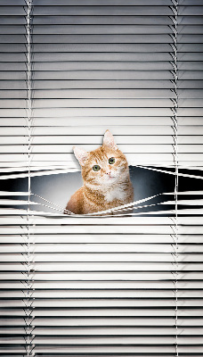 Rollo lichtundurchlässig mit Motiv einer Ingwerkatze