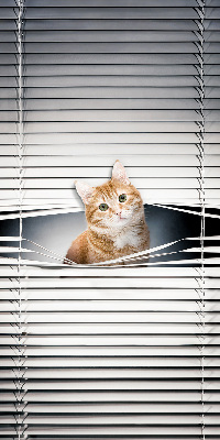 Rollo lichtundurchlässig mit Motiv einer Ingwerkatze