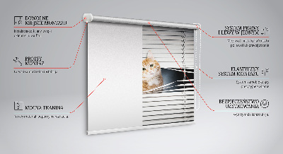 Rollo lichtundurchlässig mit Motiv einer Ingwerkatze